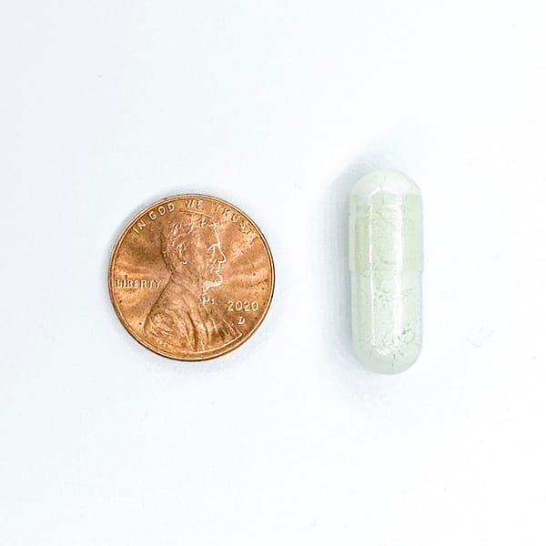 Capsule Pill and Penny Coin